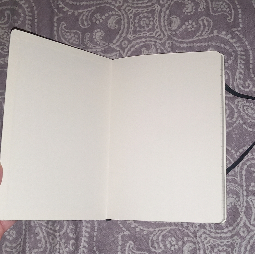 New Little Red Riding Hood Journal - Picture 8 of 10